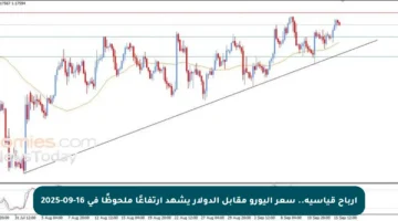أرباح قياسية.. سعر اليورو مقابل الدولار يشهد ارتفاعًا ملحوظًا في 16-09-2025